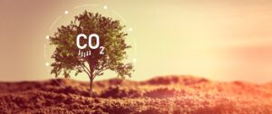 Corfo financia primer proyecto en Chile para elaborar fertilizantes a partir de hidrógeno y amoniaco verdes que sería carbono negativo
