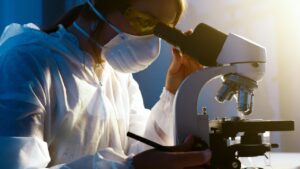 Ley I+D registró en 2023 el monto certificado más alto en su historia