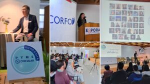 Aysén: Empresarias y emprendedoras fortalecen la economía circular con academia desarrollada en la región