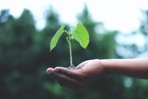 Mujeres estudiantes de educación superior podrán aportar con ideas y proyectos que ayuden a mejorar la gestión del agua y combatir los efectos del cambio climático
