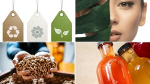 Aysén: Calefacción por hidrógeno verde y ropa biodegradables son los ganadores de Semilla Inicia