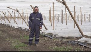 Productor de O’Higgins se destaca por trabajar en una agricultura sostenible