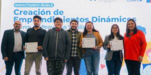 Artistas de Diguillín se capacitan en temáticas de emprendimiento e Innovación