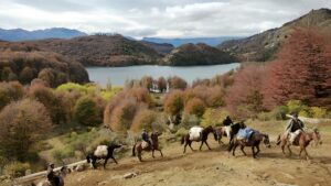 Certifican a participantes de diplomado “Guías de Cabalgata en Servicios Turísticos y Logística”