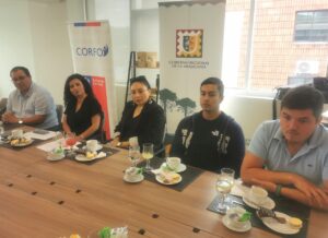 Gobierno Regional y Corfo desarrollaron Programa Desafío Agrifood Araucanía