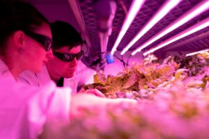 Encuentros ciencia-empresa analizarán innovación basada en recursos genéticos y su aporte al país
