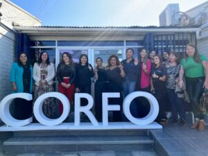 Atacama: Más de 100 Pymes lideradas por mujeres incorporaron herramientas digitales en sus negocios durante 2023