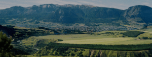 Aysén: Avanza proyecto clave para el desarrollo turístico regional en el Cordón Divisadero