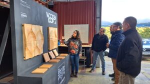 Arquitecta aysenina lidera innovador proyecto que da nuevo valor a la madera nativa residual